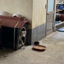 정준농장 이미지