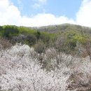금산-64 이미지