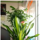 마니부동산공인중개사사무소 이미지