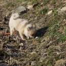 매산농원 이미지