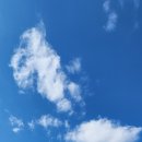 세종한울길 이미지