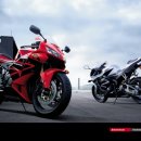 생각대로 이미지