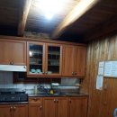 제주 야자원 이미지