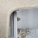 LH해온채 이미지