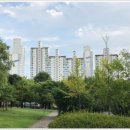 산현로 132번길 이미지