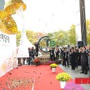 귀빈꽃장미 뉴시스