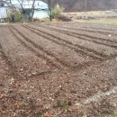 솔바람농장 이미지