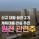 (주)뉴빅종합건설 | 원전 관련주 한전산업, 서전기전, 우진, 금화피에스시, 우리기술, 삼영엠텍, 비에이치아이, 한전KPS...