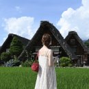 고원약국 | 또 혼자 나고야 4박 5일 Day 2(다카야마 시라카와고 버스투어/산샤 양조장/오치우도 카페/세카이노 야마짱)