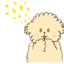 휴블랑상인점 이미지