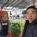 짬장정육상회 이미지