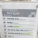 광교홍재도서관 | 수원 광교 홍재 도서관 방문 후기