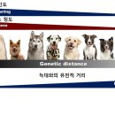 두커뮤니케이션즈 이미지