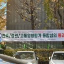 초원대림 이미지