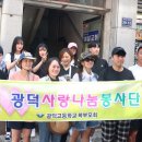 댕댕이를 부탁해 이미지