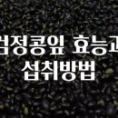검정 이미지