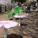 꽃보라동산 이미지