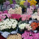 사계절꽃집 이미지