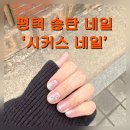 [평택] 송탄 서정리역 근처 네일샵 추천, 시커스네일(내돈내산)