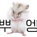 커피마마퀸 이미지