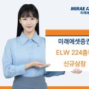 224 이미지