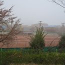 구례테니스장 Daum카페