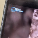 피자는 치즈빨 - 서구 | 피자는 치즈빨