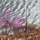 인주해암2리경로당 | [아산둘레길] Go Go 냉정리 둘레길(인주), 정매원 매실농장