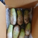 (완료)제주월동무 선불택배 나눔 이미지
