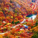 지금 가도 안 늦었어요" 단풍 절정을 맞이한 전라도 여행지 이미지