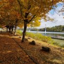 나루무인텔 이미지