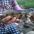 가을동화펜션 이미지