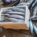 자반고등어 이미지