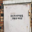 냥빨 이미지
