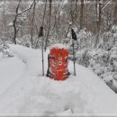 ■ 제주도 한라산국립공원 2021년1월1일부터 탐방예약제 시행 이미지