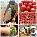 신 하나농장 이미지