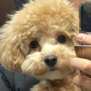 몽실쌀롱 이미지