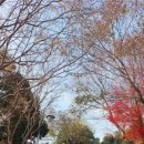 궁도장 열무정 이미지