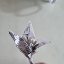 인천숭의초 4학년 5학년 이미지