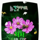 그루터 이미지