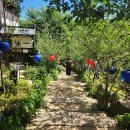 참사랑홈파티스스튜디오 | "한국 안의 일본 마을" 40대 가장의 니지모리스튜디오 알바 마지막 날 후기