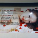 금단비가제주점