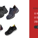 아일랜드 앤 코 이미지