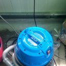 스팀코리아 이미지