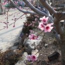 강천산 도라지골 이미지