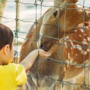 꽃사슴어린이공원 이미지