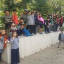 품 태권스쿨 이미지