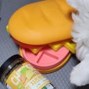 더텐 이미지