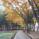 서낭당근린공원 이미지