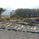 자갈마당 이미지